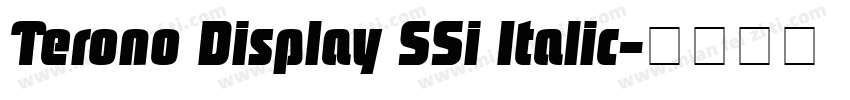 Terono Display SSi Italic字体转换